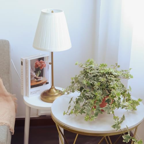 English Ivy (4" Pot) L8434