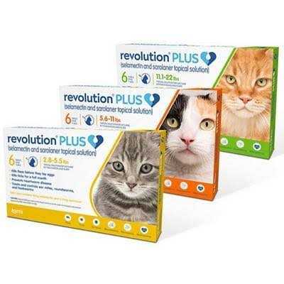 Topical Solution for Cats L87475