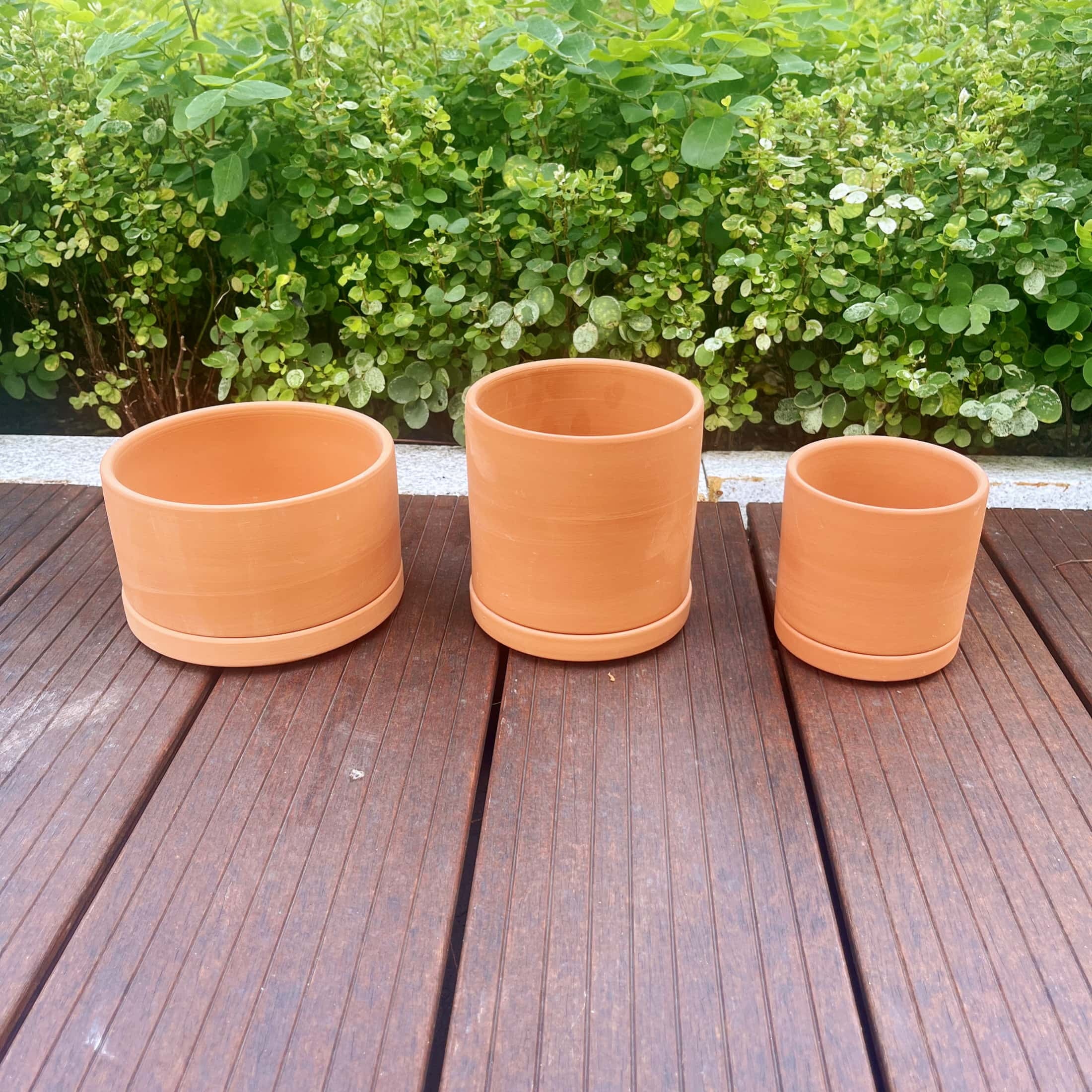 Terracotta Flower Pots, 3 Count with Drainage Holes E246