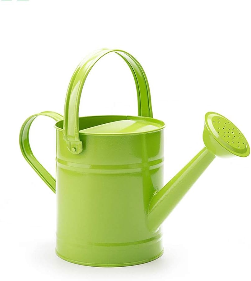 1.5L Iron Watering Can B71748