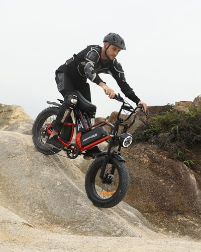 20" Fat Tire 48V 25Ah 7-Speed Electric Bike D229765