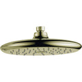 Polished Brass Single-Setting Shower Head I74437