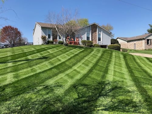 50lbs Tall Fescue Grass Seed T797698