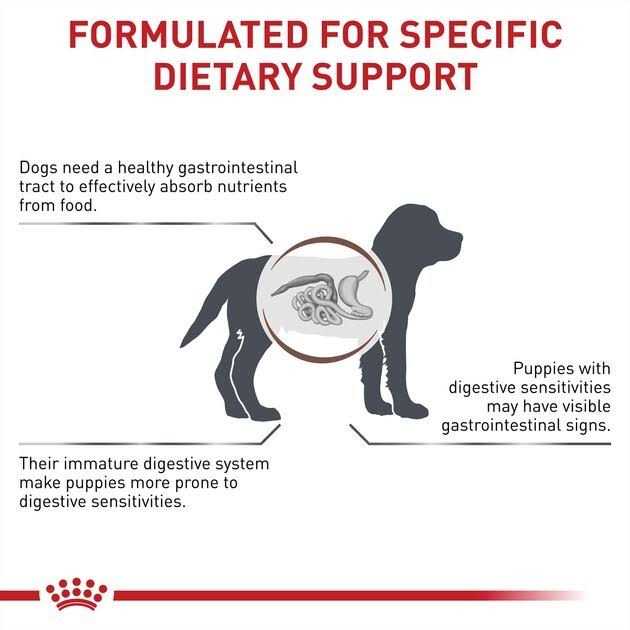 Veterinary Diet Gastrointestinal Puppy Ultra Soft Mousse in Sauce Canned Dog Food S808