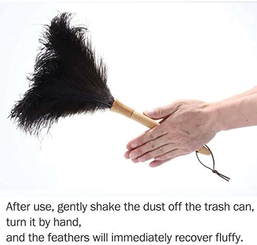 Black 16" 2Pieces Ostrich Feather Duster with Wooden Handle I622566