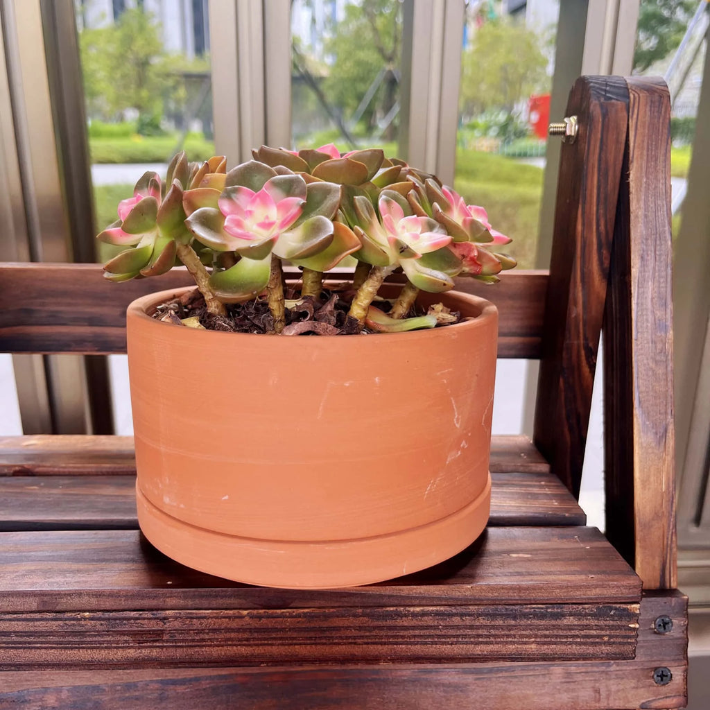 Terracotta Flower Pots, 3 Count with Drainage Holes E246