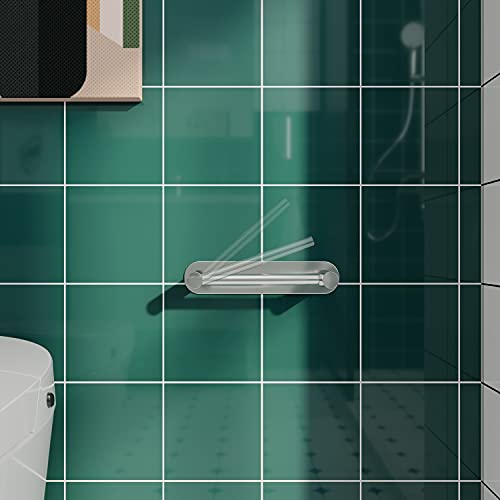 Brushed Nickel Toilet Paper Holder Stick On Stainless Steel and Zinc Alloy E93920
