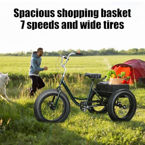 Black 20 inch 3 Wheel Fat Tire Tricycle J31112