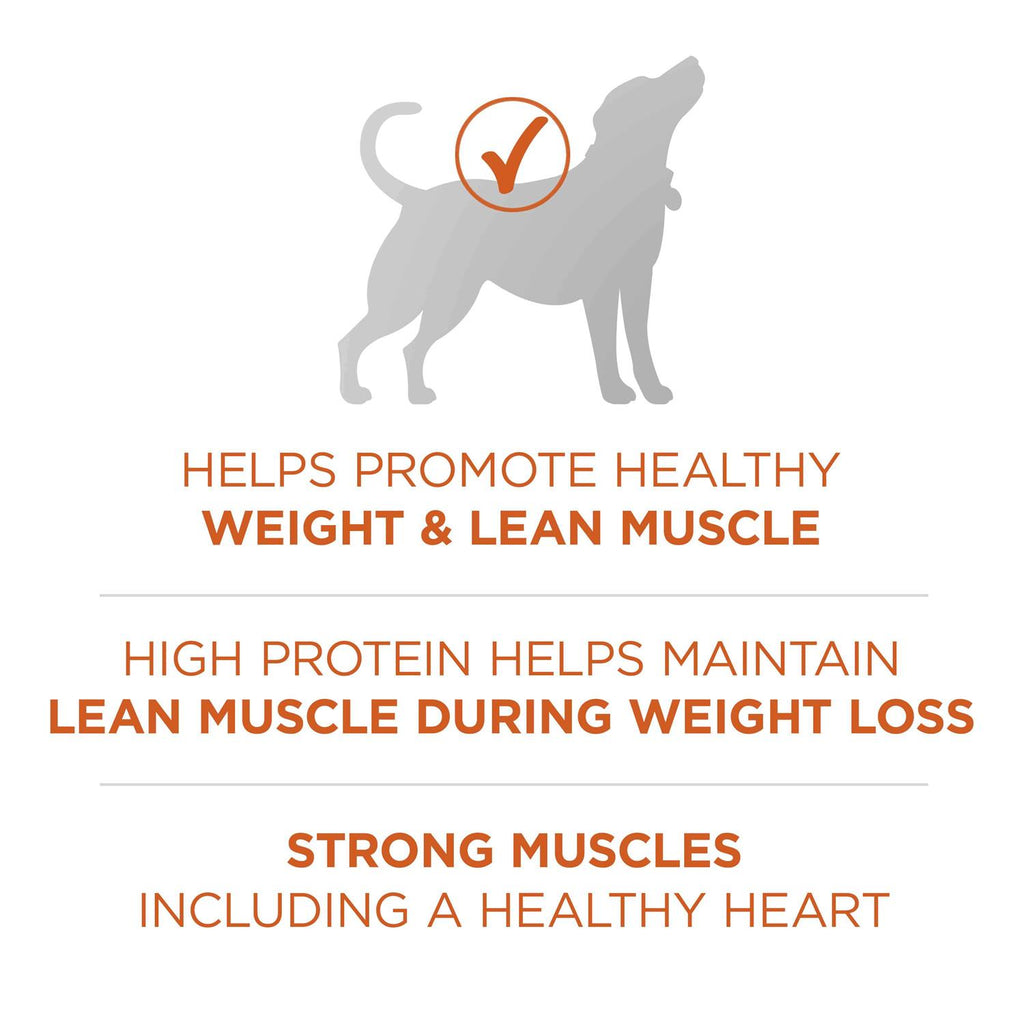 Healthy Weight Dog Food Dry Formula F519