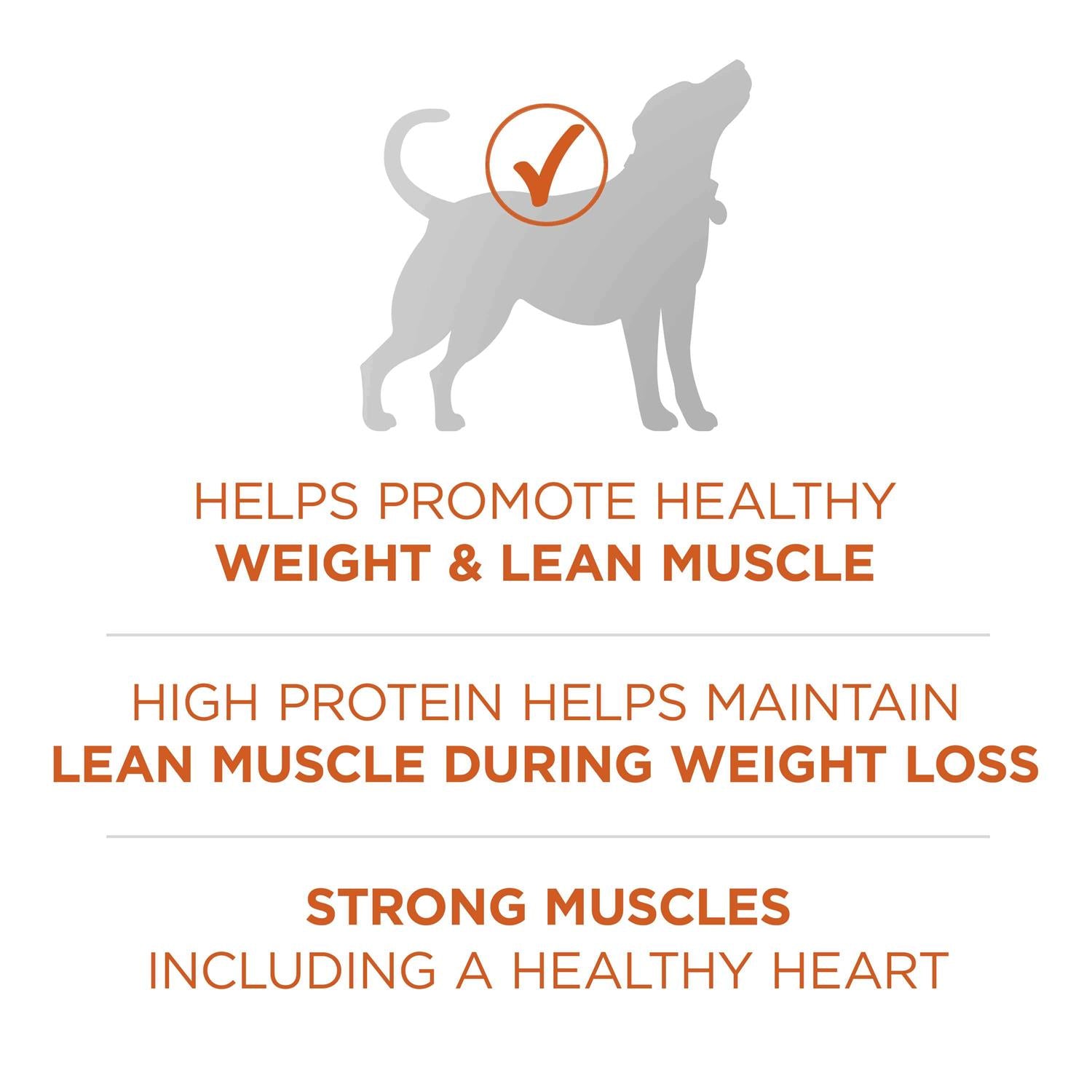 Healthy Weight Dog Food Dry Formula F519