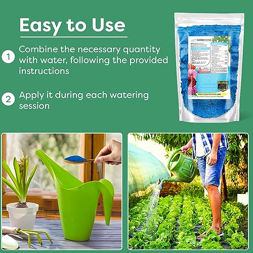 20-20-20 All Purpose Water Soluble Fertilizer (1/2 Quart) A12330