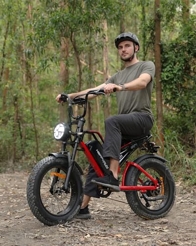 20" Fat Tire 48V 25Ah 7-Speed Electric Bike D229765