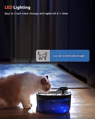 Stainless Steel Cat Water Fountain R229