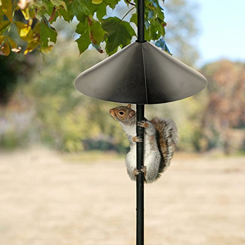 Black 18-Inch Squirrel Baffle D769