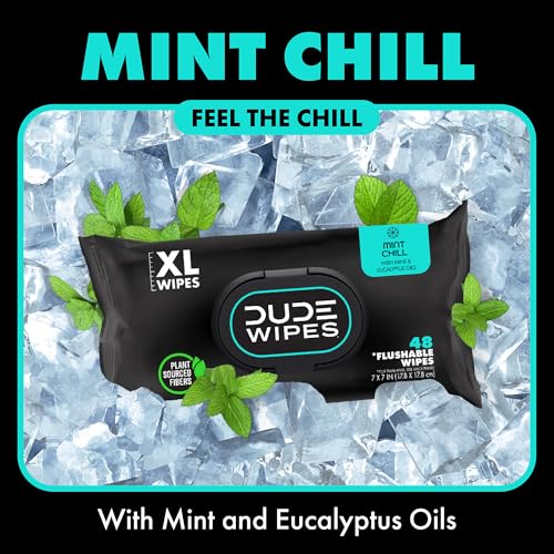 48 Wipes Mint Chill Extra-Large Adult Wet Wipes K683