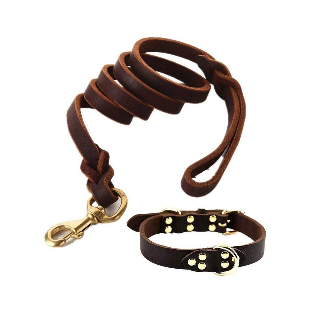 Leather Dog Leash 6 Foot Braided Heavy Duty Training Leash D8062