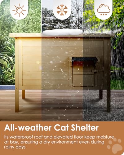 Insulated Weatherproof Outdoor Cat House for Multiple Cats P53855