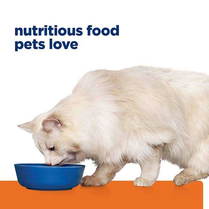 Prescription Diet Urinary Care Dry Cat Food H4917