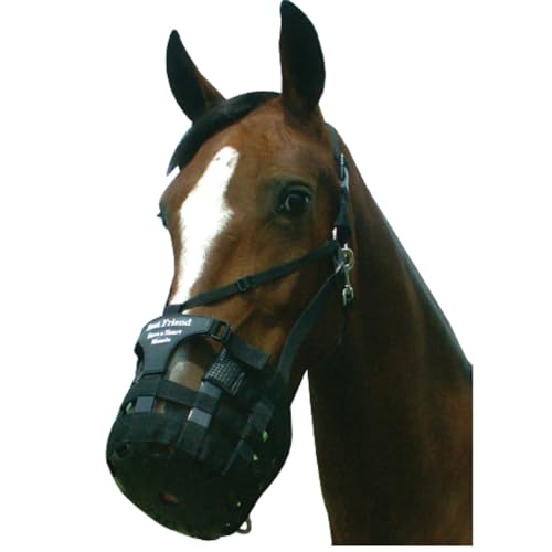 Heart Shaped Breakaway Horse Halter Grazing Muzzle, Large Horse Size M7118