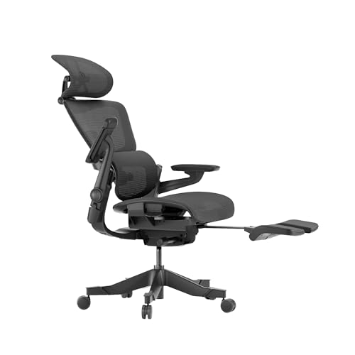 Ergonomic Mesh Office Chair with Footrest (Gray, Medium) R25004