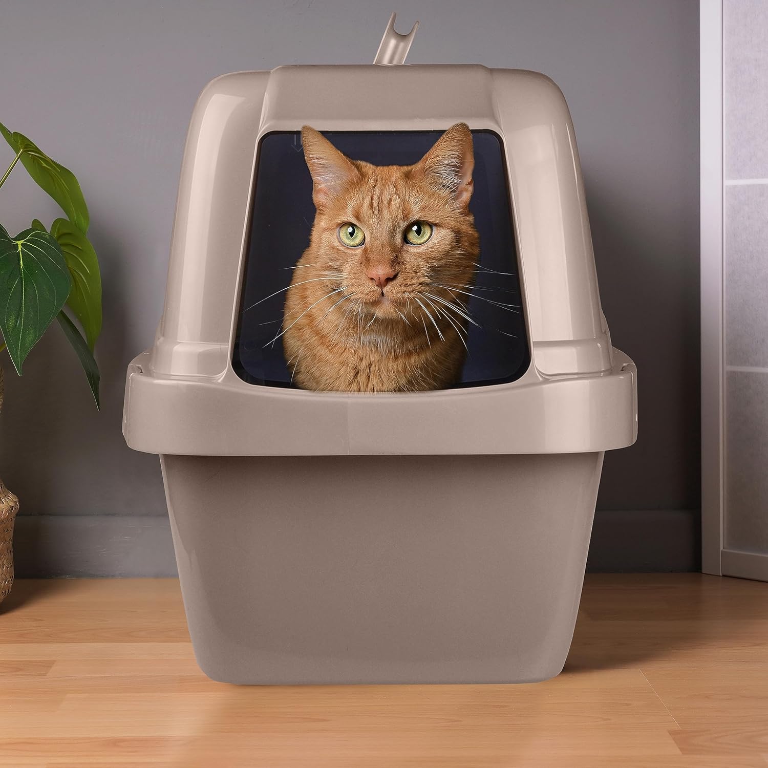 Large Enclosed Sifting Cat Pan with Odor Door, Hooded, Beige T633193