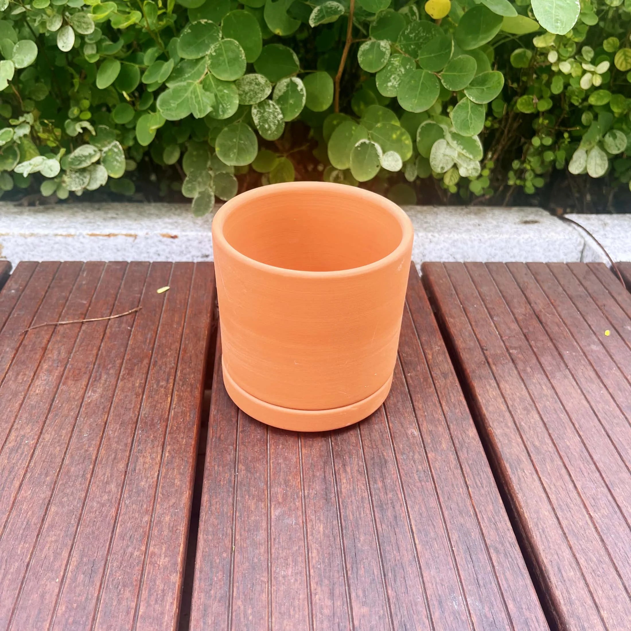 Terracotta Flower Pots, 3 Count with Drainage Holes E246