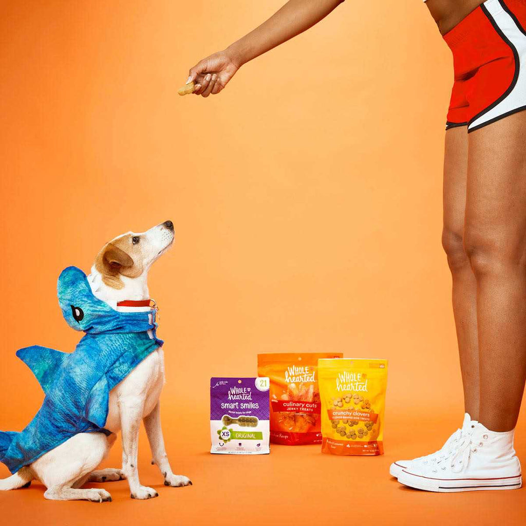Chicken Recipe Jerky Dog Treats N50764