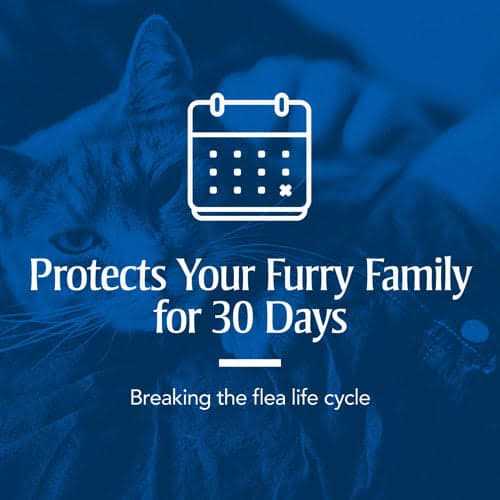 Flea & Tick Spot Treatment for Cats N9510