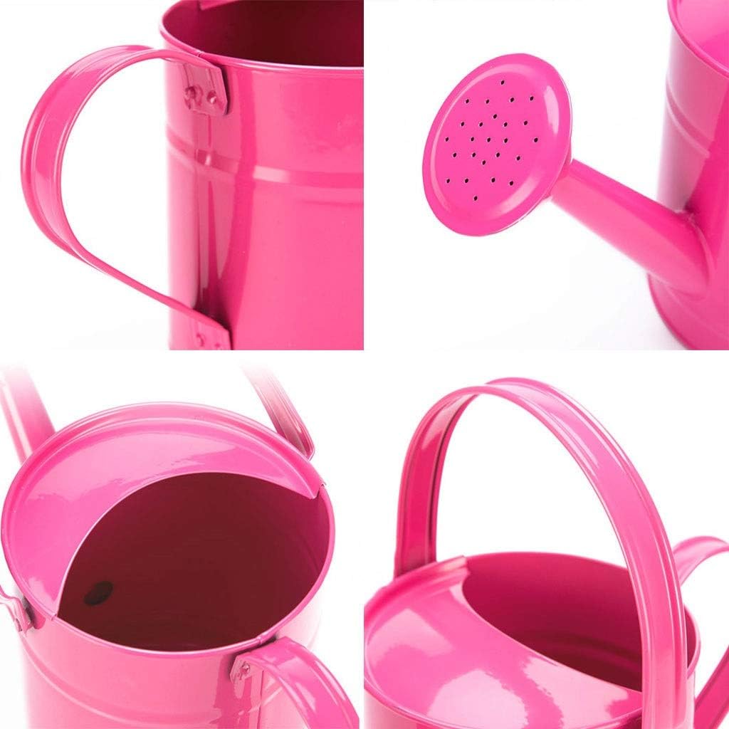 1.5L Iron Watering Can B71748