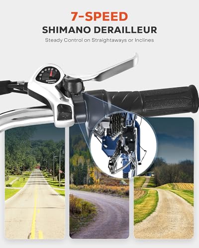24 & 26 inch 350W 7 Speed Electric Tricycle Z865
