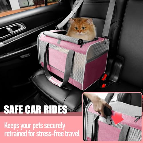 Soft Sided Top Load Collapsible Pet Carrier Bag for Large Cats 20 lbs+ G83493