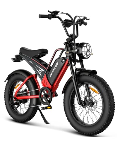 20" Fat Tire 48V 25Ah 7-Speed Electric Bike D229765