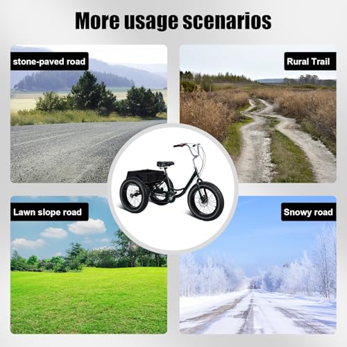 Black 20 inch 3 Wheel Fat Tire Tricycle J31112