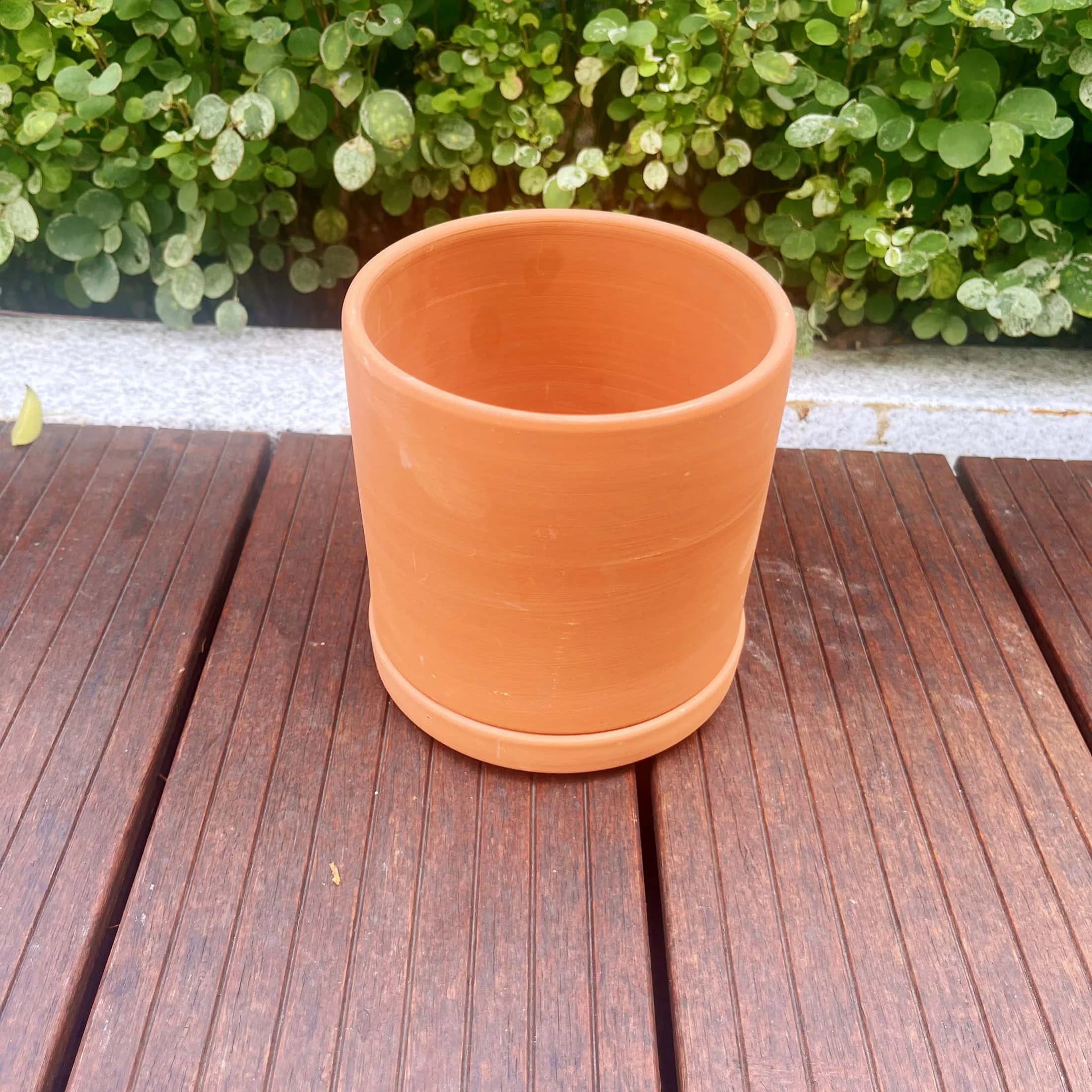 Terracotta Flower Pots, 3 Count with Drainage Holes E246